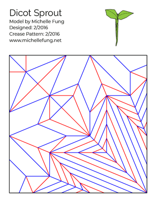 Dicot Sprout