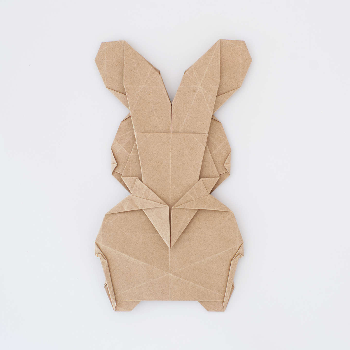 Img 1 - Rabbit v1