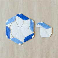 Origami model(s) in 1 model page(s)