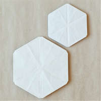 Origami model(s) in 1 model page(s)