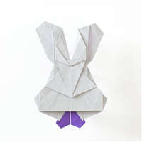 Origami model(s) in 1 model page(s)